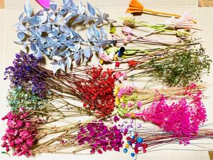 かすみ草 スターフラワー ミニかすみ草 ラスカス シルバー プリザーブドフラワー ハーバリウム 花材 ニゲラ リンフラワー
