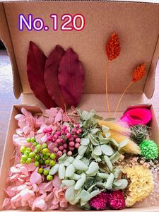 No.120ドライフラワー プリザーブドハンドメイド 花材 ハーバリウム