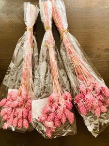 3束セット FLOREVERフロールエバーファラリス ライラック ドライフラワー プリザーブドフラワー 花束 ナチュラル