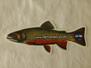 MEFISHWILDLIFE ステッカー mefishwildlife MAINE DEPT. OF INLAND FISHERIES AND WILDLIFE 合衆国魚類野生生物局 Trout salmon トラウト