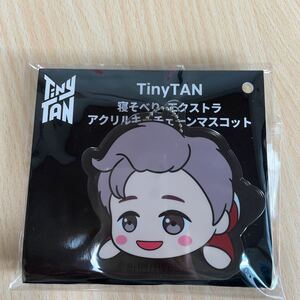 TinyTAN 寝そべり エクストラ アクリルキーチェーンマスコット RM