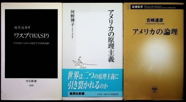 【送料無】吉崎達彦・河野博子・越智道雄『新書3冊 アメリカの論理・アメリカの原理主義・ワスプ(WASP)』03/06/98年、中古 #576