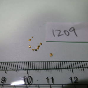 金ナゲットアラスカ鉱脈金塊ゴールドフィンガー 砂金粒(20-22k)1209の画像1