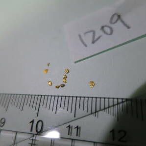 金ナゲットアラスカ鉱脈金塊ゴールドフィンガー 砂金粒(20-22k)1209の画像4