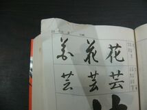 書籍 薬の処方ハンドブック 一目でわかる投薬のスタンダード / 羊土社_画像1