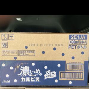 濃いめカルピス 1ケース