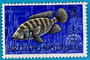  England . ho njulas stamp *mo The n Beak tila Piaa (Tilapia mossambica)1969 year ... raw living thing 