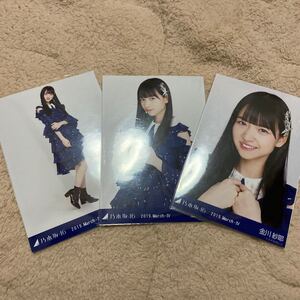 生写真 乃木坂46 コンプ 乃木坂46生写真 会場限定 金川紗耶 高レート