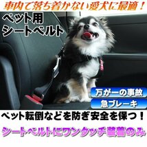カーハーネス S ① ペット用シートベルト 愛犬に安全を 万が一の事故や急ブレーキからペット転倒、安全を保ちます 4995723403015_画像2