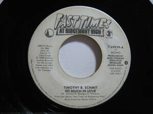 [7~] TIMOTHY B. SCHMIT / * white promo MONO/STEREO* SO MUCH IN LOVE US record timosi-*shumi painting * Match * in *lavu