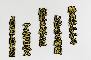 送料無料 ホセ・ロペス 応援歌 (金/黒) 刺繍 ワッペン 横浜 ベイスターズ ユニホーム に