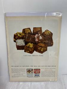 1963年12月13日号LIFE誌広告切り抜き【Carnation/ミルク】アメリカ買い付け品60sビンテージ生活食品