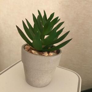 観葉植物 偽物