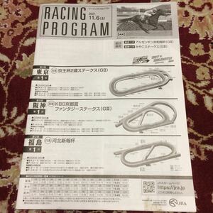 JRA Racing Program 2021.11.6( earth ) capital . cup 2 -years old stay ks(GⅡ), fantasy stay ks(GⅢ), river north new . cup 