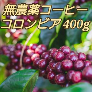 コーヒー 豆 無農薬 コロンビア400g 自家焙煎珈琲 オーガニック