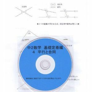 プロが教える 数学 中学 2年 DVD 4 平行と合同 基礎編 問題集 中２ 中学２年 中学校 復習 自宅学習 問題 教材 まとめ プリント 販売多数