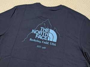 新品 送料無料 The north face Biner Graphic 4 Tee Aviator Navy Mサイズ(日本Lサイズ相当)ノースフェイス Tシャツ