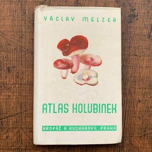  Czech. old mushrooms illustrated reference book (ARLAS HOLUBINEK 1945 year )/ antique Vintage Europe foreign book mushrooms. illustration mushrooms. . atmosphere */
