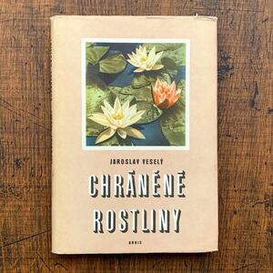  Czech. old plant illustrated reference book (CHRANENE ROSTLINY 1954 year )/ antique Vintage plant . flower foreign book botanika lure to atmosphere */