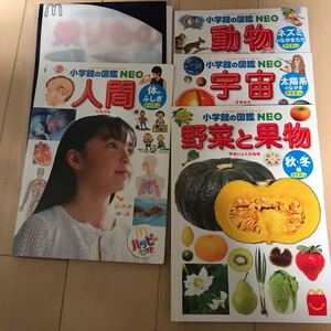 マクドナルド 小学館の図鑑NEO ハッピーセット 5冊セット