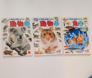 小学館の図鑑NEO ハッピーセット