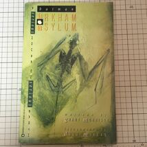 【洋書 アメコミ】バットマン・アーカム・アサイラム - a serious house on serious earth【著：グラント・モリソン＆デイブ・マッキーン】_画像1