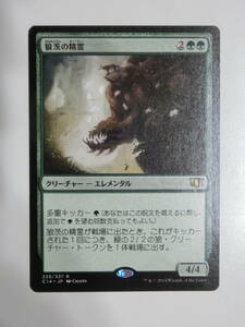 【MTG】狼茨の精霊　日本語1枚　C14　レア