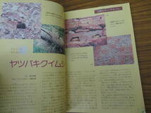 子供の科学　1983年11月号　ヒトキノコ栽培宇宙旅行発電装置天文教室/R23_画像3