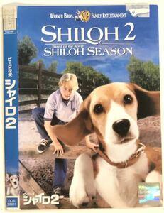 中古洋画DVD ビーグル犬 シャイロ2 ザッカリー・ブラウン　スコット・ウィルソン　　マイケル・モリアーティー　他
