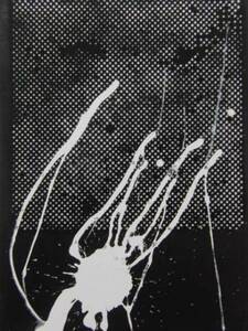 Sigmar Polke、UNTITLED、海外版超希少レゾネ、新品額装付、fan