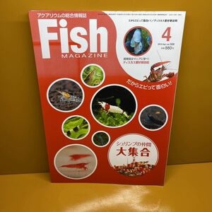 * prompt decision * fish magazine 2010 year 4 month vol.529 shrimp. company large set 