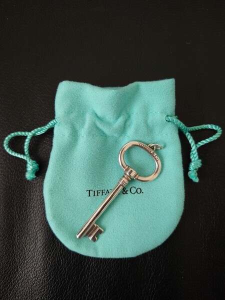 【希少】TIFFANY&Co/キーペンダント/ラージチョーカー