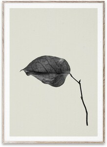 PAPER COLLECTIVE | SABI LEAF 03 | アートプリント/アートポスター (30x40cm)【北欧 シンプル インテリア おしゃれ】