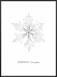 PROJECT NORD | SNOWFLAKES POSTER | アートプリント/ポスター (50x70cm)【北欧 デンマーク インテリア クリスマス】