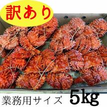 【魚市場処分品！】訳あり花咲ガニ　５kg（７～８尾入れ）　身入り４～５割程度Ｂ品　冷凍　ボイル　コロナ　大特価　応援_画像1