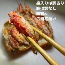 【魚市場処分品！】訳あり花咲ガニ　５kg（７～８尾入れ）　身入り４～５割程度Ｂ品　冷凍　ボイル　コロナ　大特価　応援_画像4