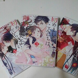 初めましてこんにちは、離婚してください1~3巻