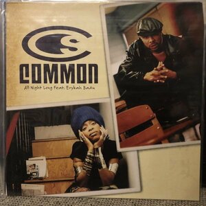 Common feat. Erykah Badu / All Night Long