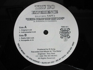 レア盤【Tru Bo Experience Featuring Safu / Here Come The Tru Bo's】ドープアングラ　DJ KOCO KIYO SEIJI SHIGE MURO S-KY T.CONTSU