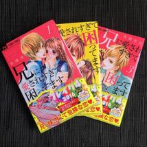 コミック 17冊 まとめ売り 小学館 大量セット 少女漫画 セット販売 兄に愛されすぎて困ってます 恋 キス 夜神里奈 真村ミオ 千葉コズエ_画像2