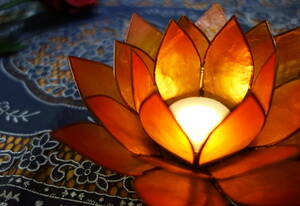 * free shipping * prompt decision *kapis shell candle holder lotus. flower shell skill orange ( middle )