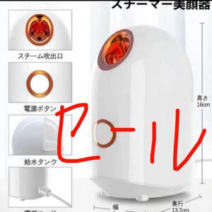 スチーマー美顔器 スチーマーフェイス 顔 美肌スチーマー