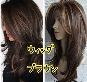 新品☆かんたん ブラウン メッシュ ロングヘア ダークブラウン ウィッグ