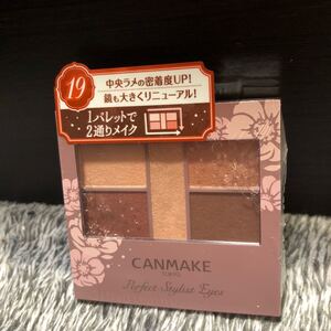 キャンメイク パーフェクトスタイリストアイズv