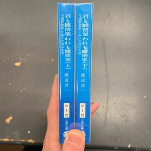 即決 君も雛罌粟われも雛罌粟 上・下巻 セット 渡辺淳一 文春文庫 文庫 小説