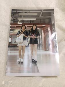 ◇オリックス・バファローズ BsGirls ブロマイド 写真 3-f