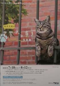 * скала . свет .. мир кошка .. фотография выставка Lee порожек Kumamoto префектура . картинная галерея минут павильон *
