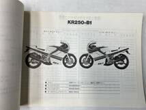 Kawasaki KR-1 (KR250-B) パーツカタログ メーカー純正品 No.3_画像2