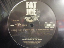 Fat Joe ： I Won't Tell Feat. J.Holiday 12'' c/w The Crack House Feat. Lil Wayne // 落札5点で送料無料_画像2