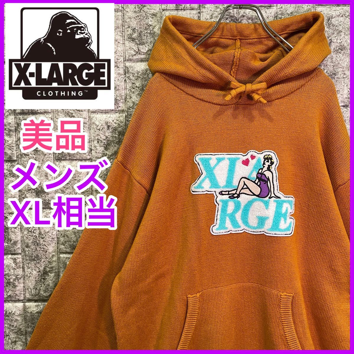 X-LARGE エクストララージ パーカー センターロゴ 刺繍 希少カラー